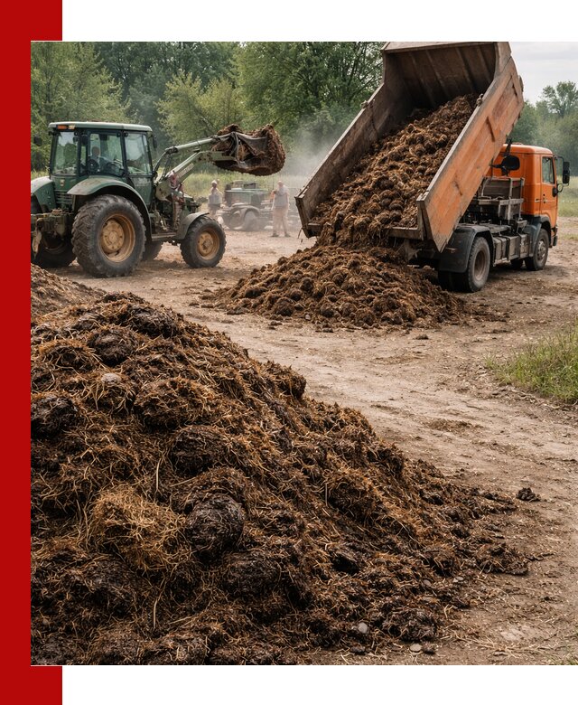 Доставка навоза самосвалами в Туле для сельхозпотребностей